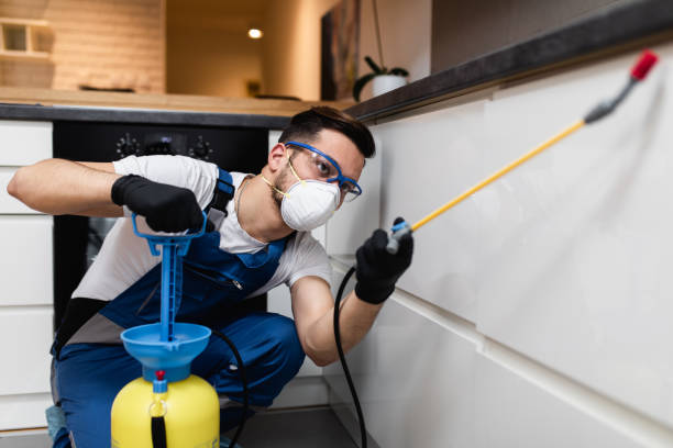 Best Termite Control Services  in Larkspur, CA