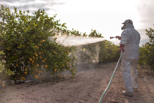 Best Bird Control  in Larkspur, CA