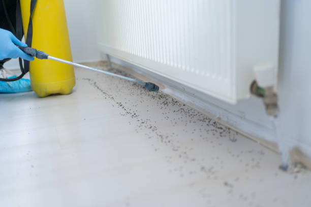Best Insect Control  in Larkspur, CA