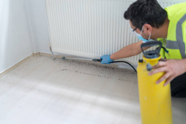 Best Pest Removal Services  in Larkspur, CA